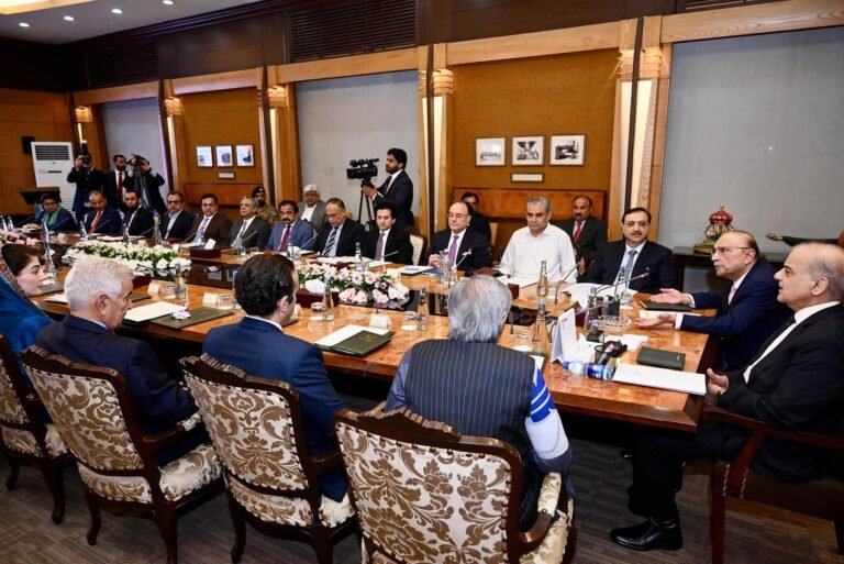 Zardari, Shehbaz review regional situation, implications for Pakistan
