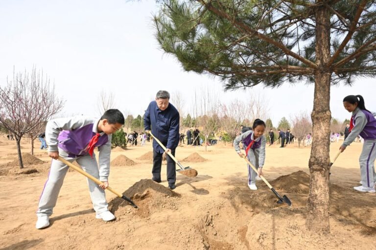 Xi calls for whole-of-society push on tree planting