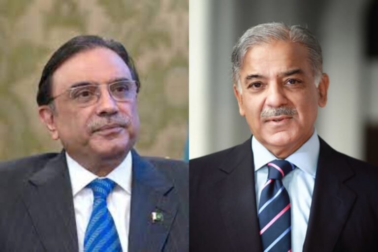 President Zardari, PM Shehbaz condemn White House dinner shooting