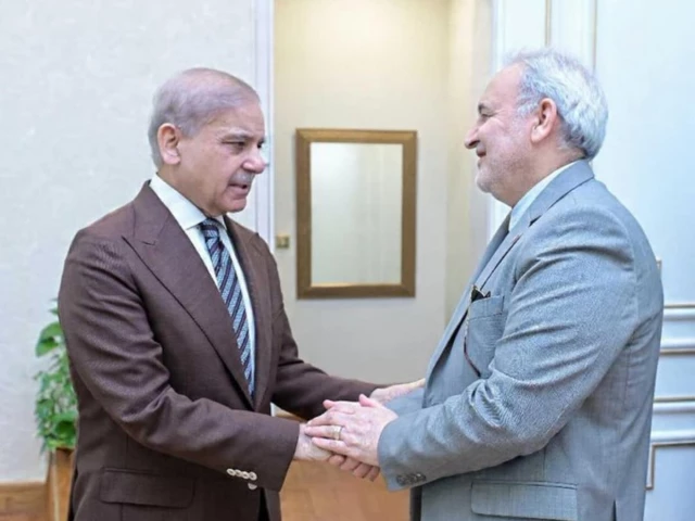 Iranian envoy meets PM Shehbaz, discusses regional situation