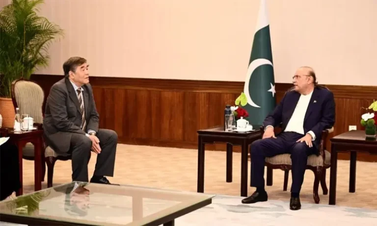 President Zardari seeks investment in priority sectors during China visit