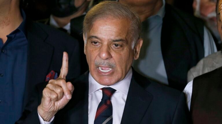 PM Shehbaz’s daughter, son-in-law secure pre-arrest bail in Saaf Paani reference
