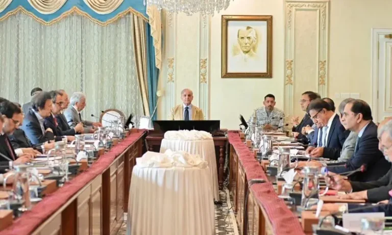 Centre, provinces must jointly deliver relief amid global oil crisis: PM Shehbaz