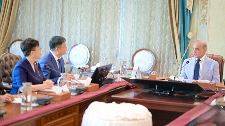 PM Shehbaz met Chinese business delegation on digital economy cooperation
