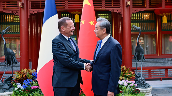 China, France share key role in global peace and stability: Wang Yi