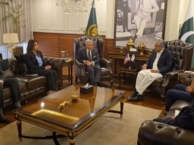 Naqvi, US official discuss strengthening Pakistan-US cooperation on security