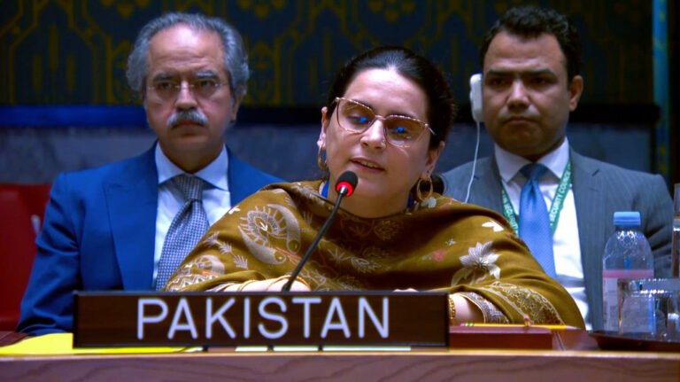 World now sees face behind the mask, Pakistan rebukes India at UNSC