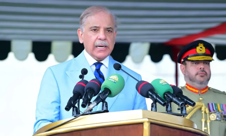 India increasingly using covert tactics, proxies against Pakistan: PM Shehbaz