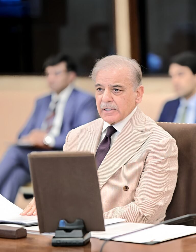 PM Shehbaz stresses strong security ahead of budget presentation